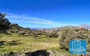 Kamilari Kreta, Kamilari: Grundstück in traumhafter Lage mit Meer- und Bergblick zu verkaufen Grundstück kaufen